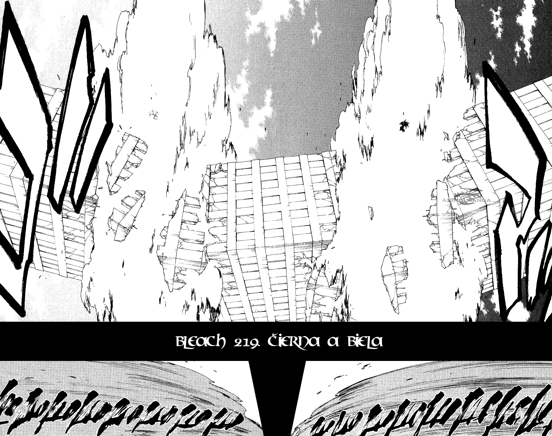 Bleach 219 04 kopie.jpg